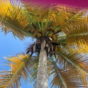 Meet your Posher, Ella